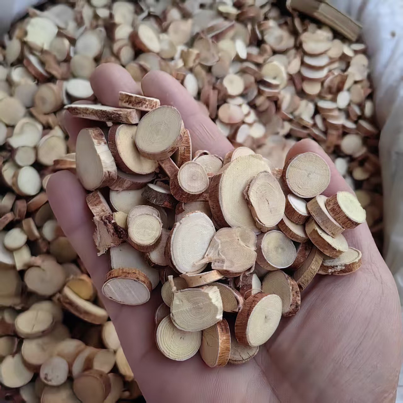 Wu Zhi Mao Tao Powder 500g Ficus Hirta Root Powder Guangxi Origin Sun Dried No Sulfur key features