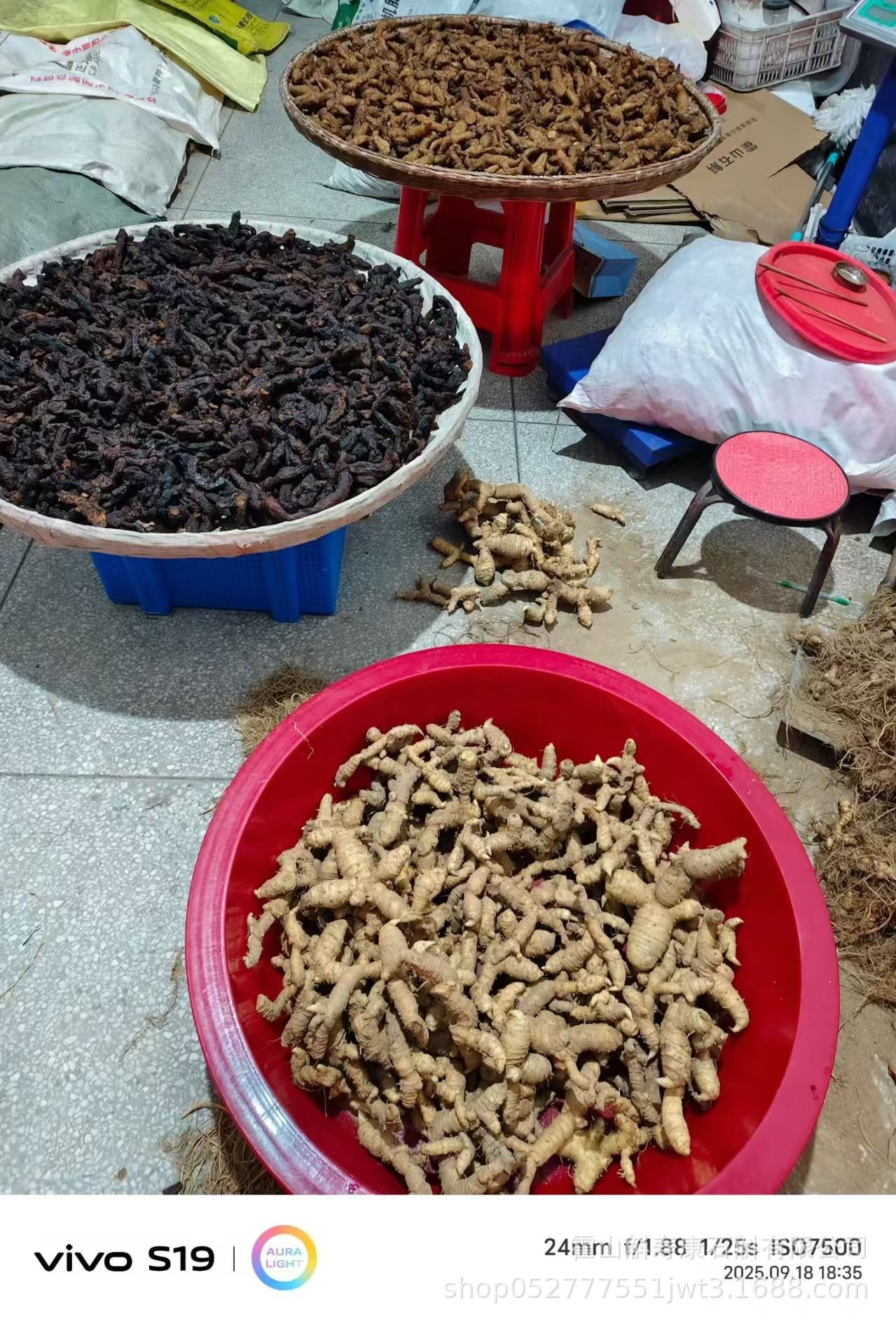 Dried Polygonatum Rhizome Huang Jing 九蒸九晒 500g TCM Herbal Tea and Soup Ingredient overview