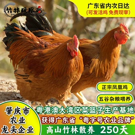 番薯类;薯干类;豆制品
