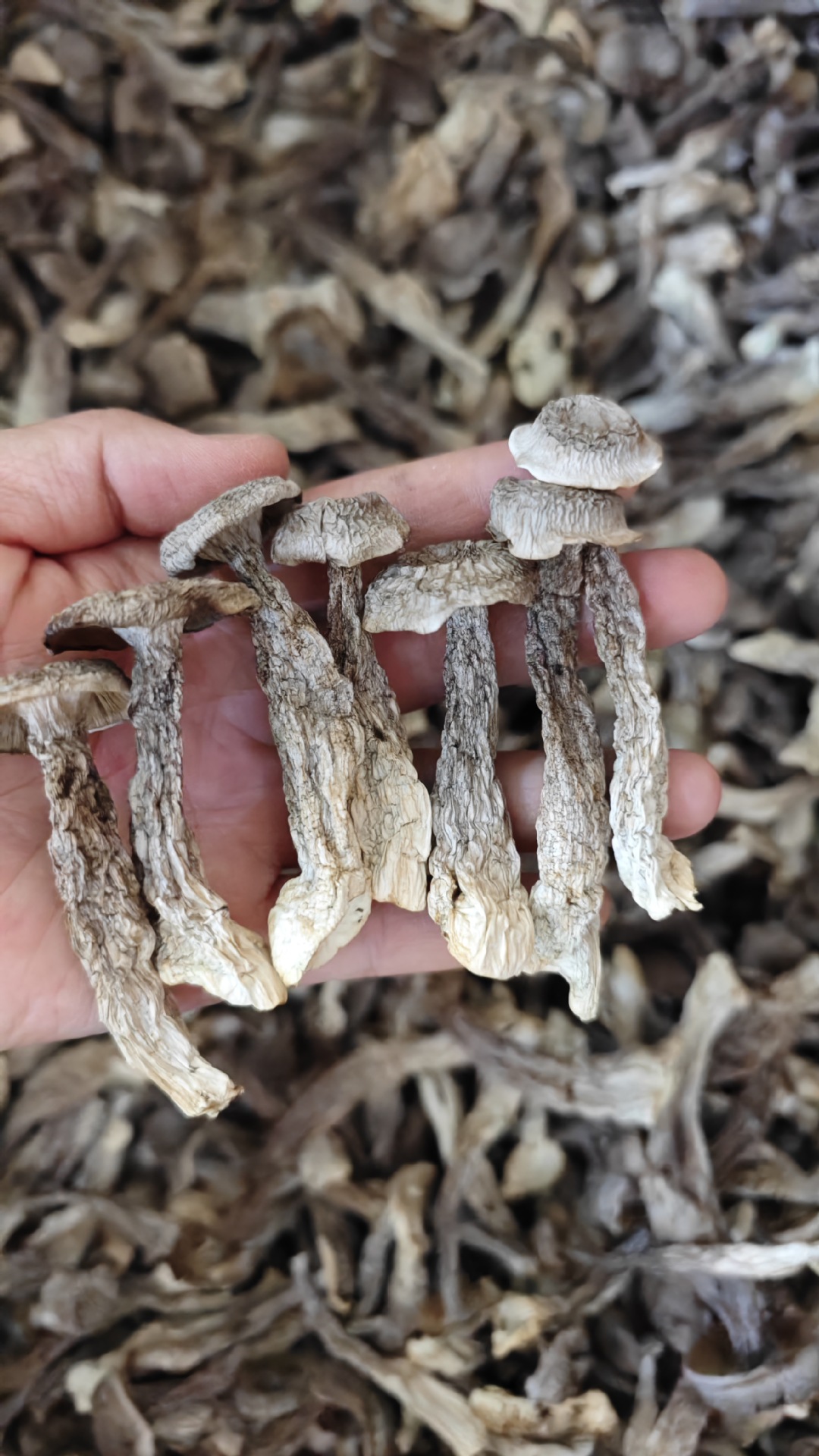 f74e599c9e79e00b841133ce0f8e76