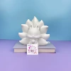 No. 145 Nine-tailed Fox White Embryo
