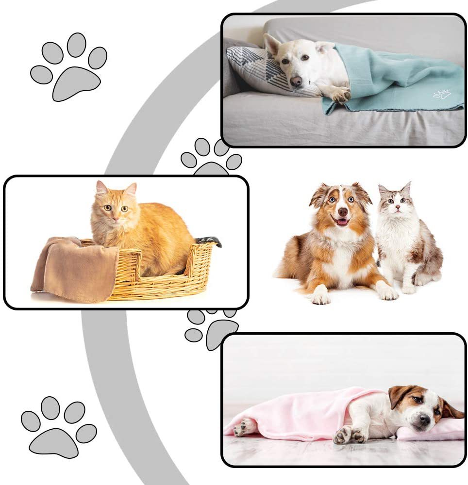 61YRUOfalyL._AC_SL1000_