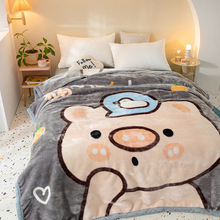 拉舍尔毛毯双层加厚冬季小毯子空调毯被子珊瑚绒儿童宿舍单人盖毯