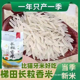�����F�������L�����������r�����ԷNܛ���L�����׼����L��10��