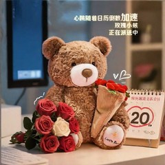 磁気で静かなクマのぬいぐるみ、七夕のバレンタインデーのバラの花束が帽子に変身するテディベア、彼氏彼女へのプレゼント