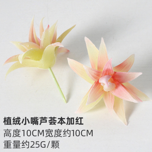 Simulation succulent plant green plant decoration cactus indoor office small ornaments combination potted bonsai wholesale