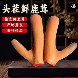 鹿产品;其他滋补;非处方滋补膏