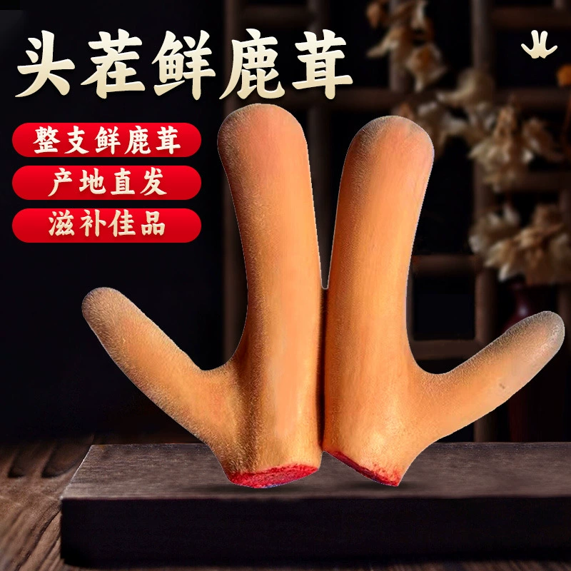 Свежий оленьи рога, сегменты оленьих рогов из Цзилиняна, целые оленьи рога для супа и вина, сегменты оленьих рогов в ломтиках, оптовая продажа свежих оленьих рогов с места происхождения.