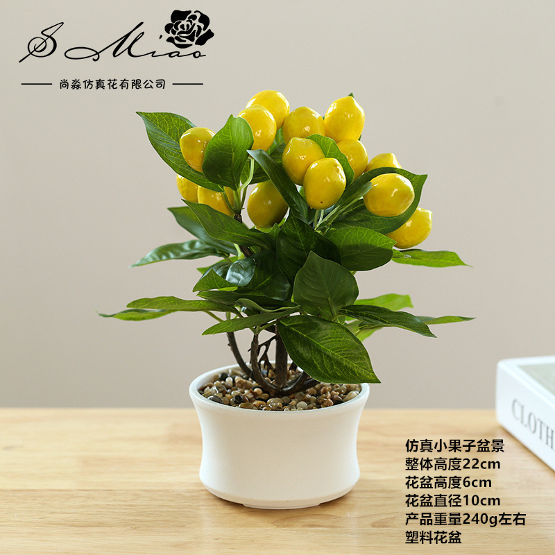 225379 Limón en maceta ☆