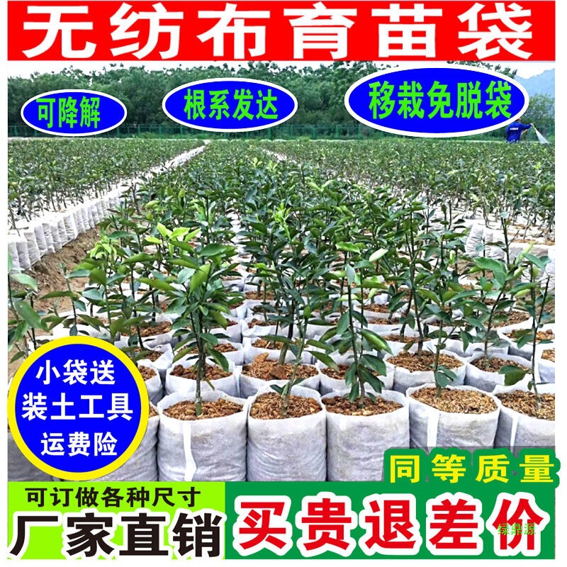 脱着不要の栄養ボウル、使い捨て栄養袋、生分解性植木鉢栄養カップ、苗用白色不織布苗袋|undefined
