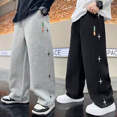 男童春秋款直筒运动裤炸街儿童装春装2025新款大童春季裤子卫裤潮