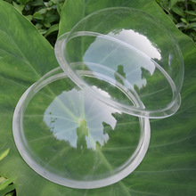 ���ڏS�Ҷ��Ɓ�����͸�������w�����ЙC�������ϙE�A���ο�������