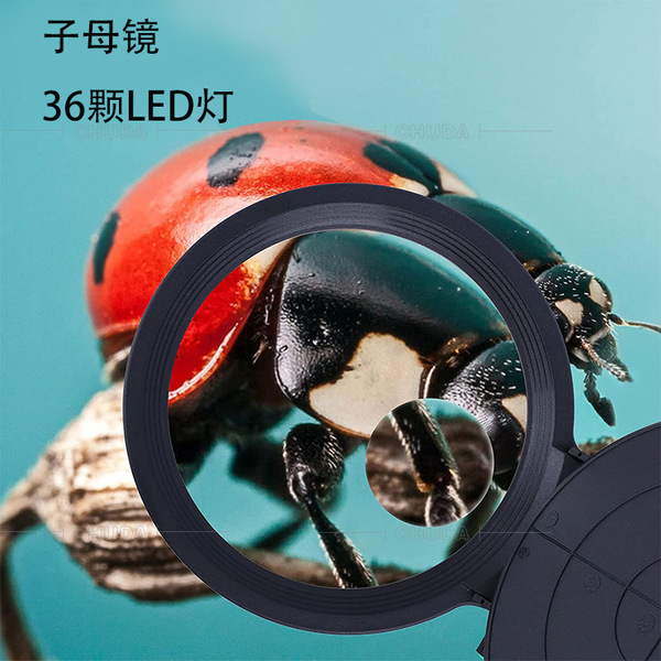 LED table lamp