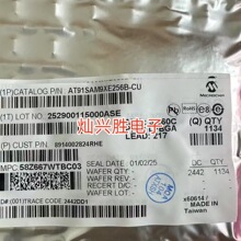 AT91SAM9XE256B-CU  ΢������ LFBGA217 ȫ��ԭװʵͼ