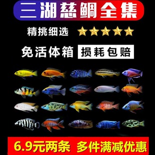 ���������~���w�R����̹���������ӟᎧ�~�ײ�С�͵�ˮ�^�p�~���]