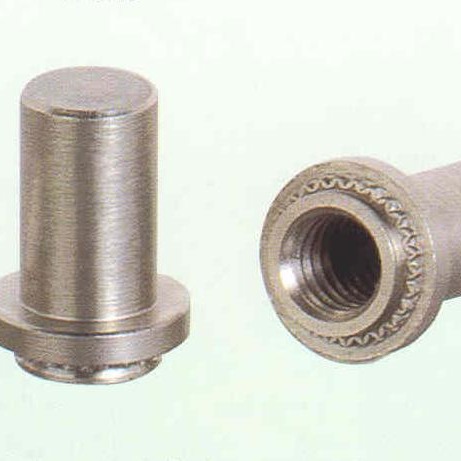 ��ˮ��ĸB-M5-2�ܷ���ĸ�� �����ֻ���Ӧ