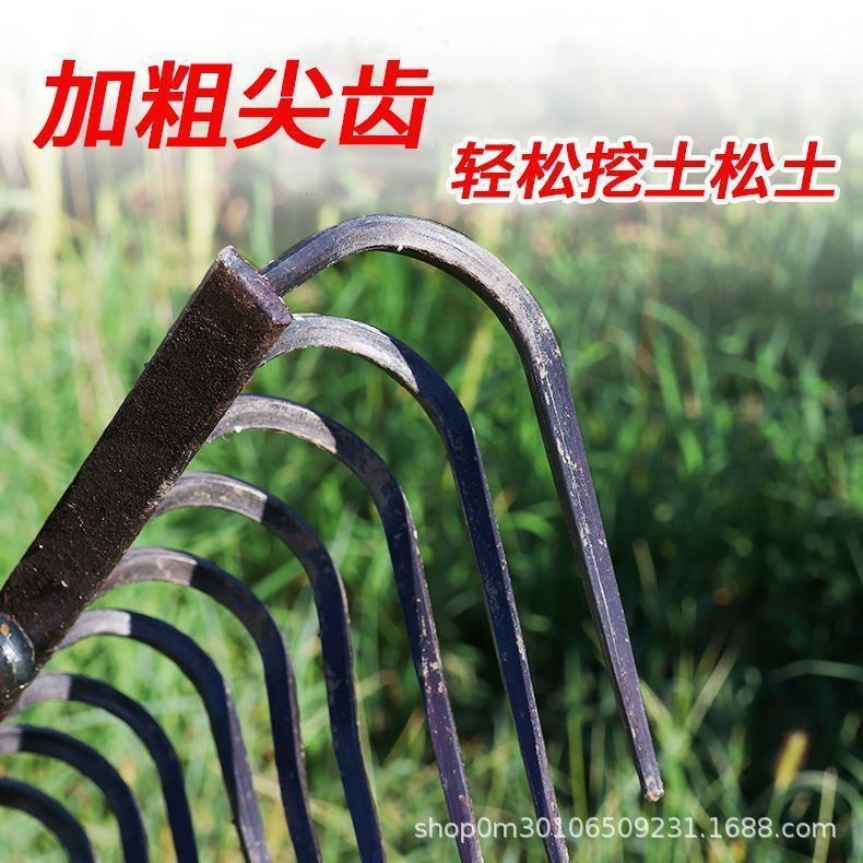 微信图片_20260423144117_193_11.jpg