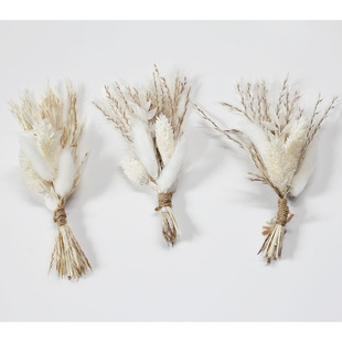 ���R�d�羳����ɻ�С������������ػ����ֶY��޹���N�b�