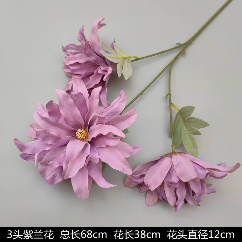 보라색 3머리 보라색 난초