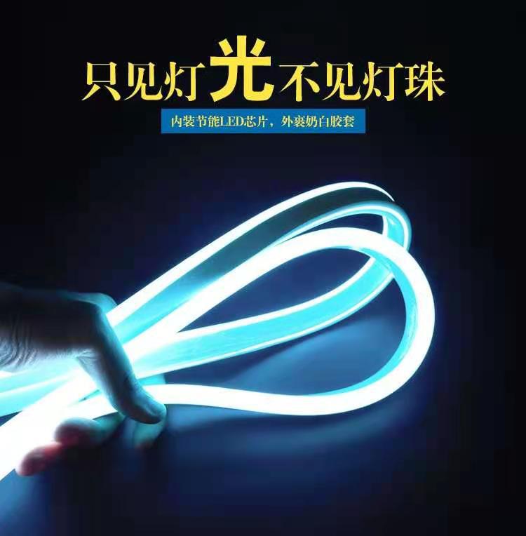 LED flexible neon light with 220v bright...