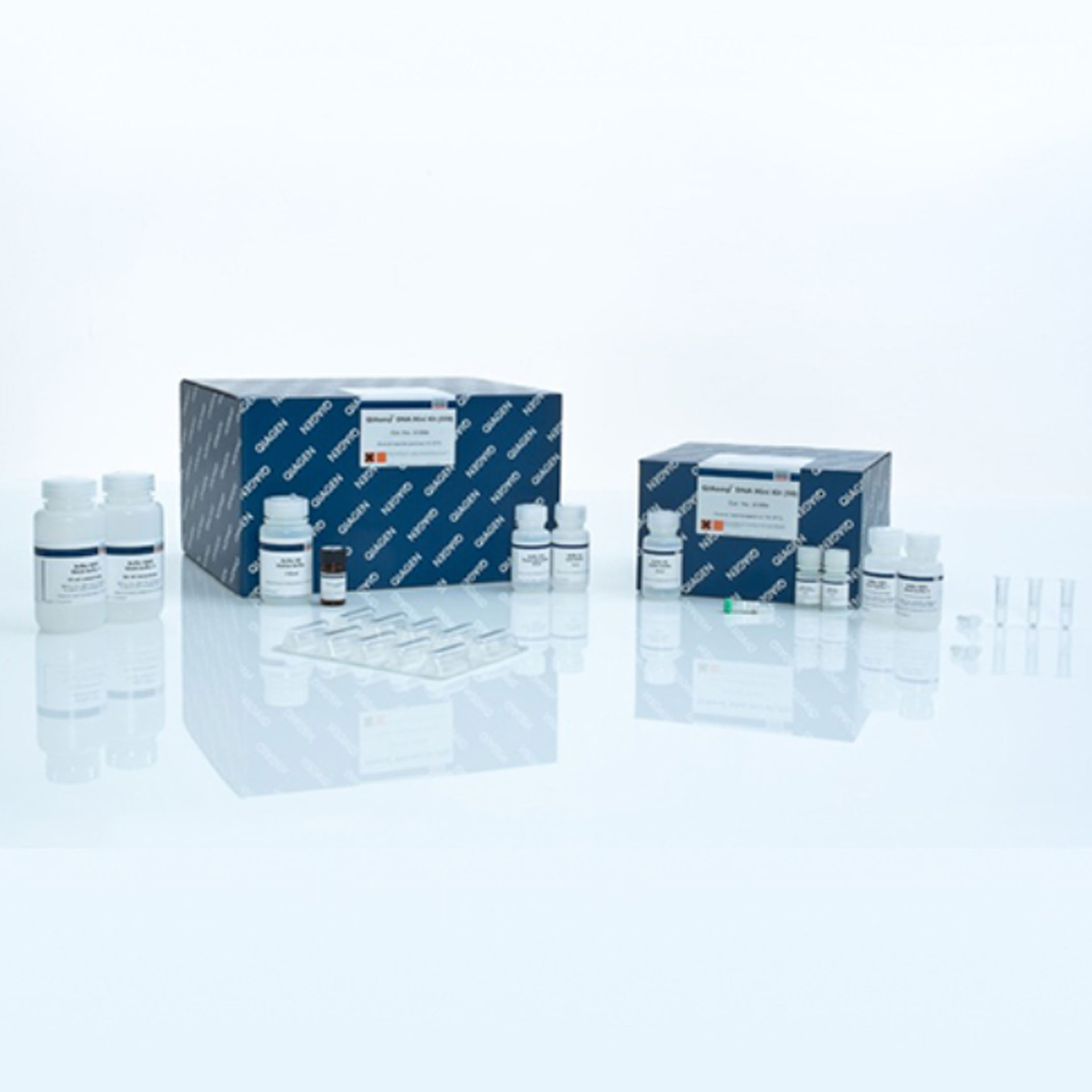 Qiagen 51304 基因组DNA小提试剂盒,50T/盒