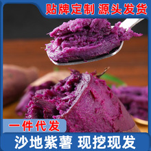 �������r�ع�5��ɽ�|�������_�m�t���r�����r�ԷN�F��С�����߲�