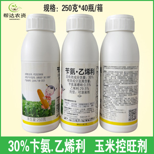 30%�а���ϩ�� �а���������ϩ�����װ����ؿ��������{����250��
