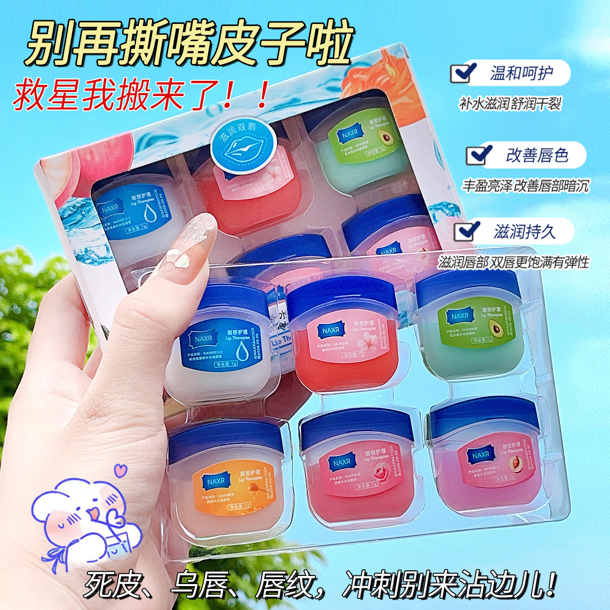 선물 상자 [6개 팩]