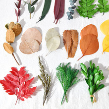 ��������˱����~����ֹ������ȼ������S���~�~���~����~�֦�l