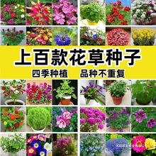 NӴȫļN_ನ˹հղ̨ͥԺ׷NܻN