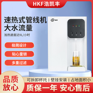 Household Ro Reverse Osmosis Water Purifier Hot and Cold Integrated Water Purifier Large Flow Direct Drinking Machine Wall-Mounted Instant Hot Water Dispenser