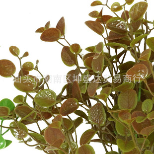 ����ֲ��������������  �ҾӾGɫ�b廨����@�ֻ�c�������l