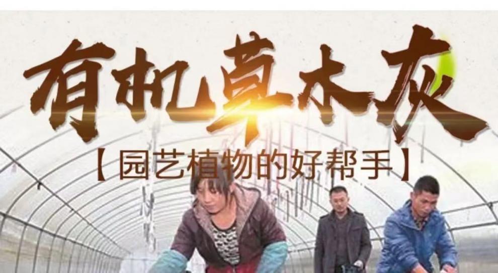 26984e17-6e14-4fc4-8850-6de6d54793e9.jpe