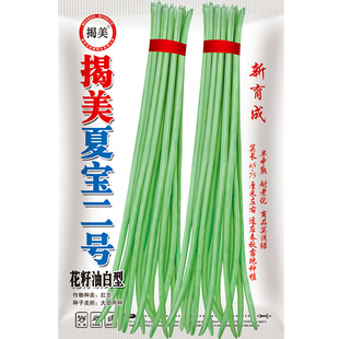 �����Č���̖���ǷN�� �L������ �����N���L���ǷN��ԭ�S���b20��