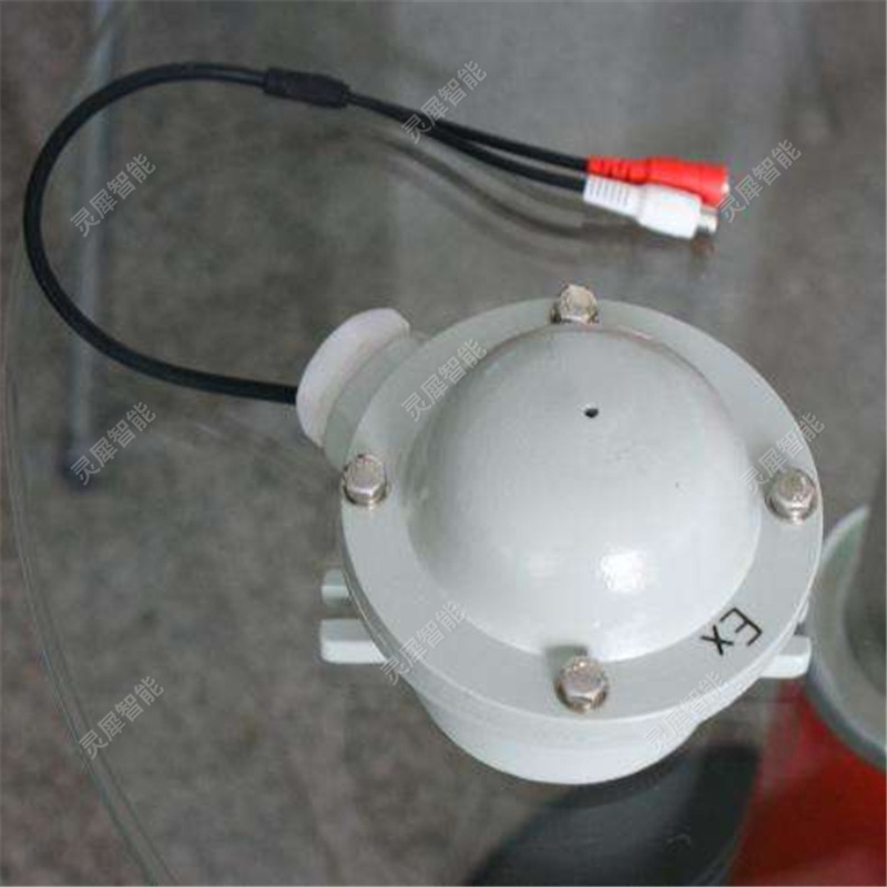 防爆拾音器 (3)