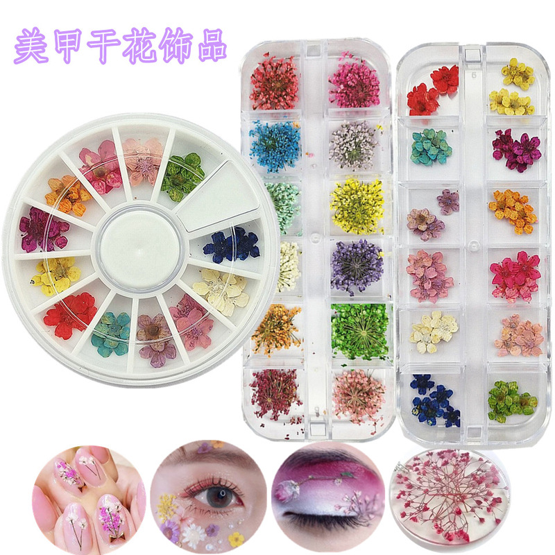 Cross-border nail lace dried flower Japanese henna 3D five-petal flower Daisy eye makeup applique drop glue dried flower