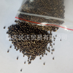 1����ɢ�b������K�� �K�� ���K�� ���K��