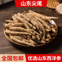 美种花旗参山东种植 花旗参尖尾西洋参条 国产花旗参3克5克现货