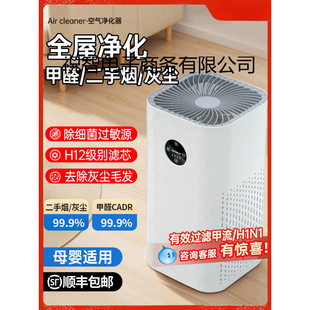 Negative Ion Air Purifier Household Formaldehyde Removal Cat Hair Filter Dust Bedroom Smoking Smell Smoke Purifier