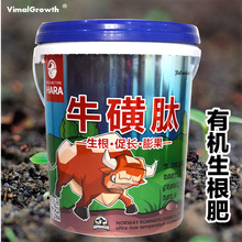 SaЙCҺw_ʩţɫaЙCҺw