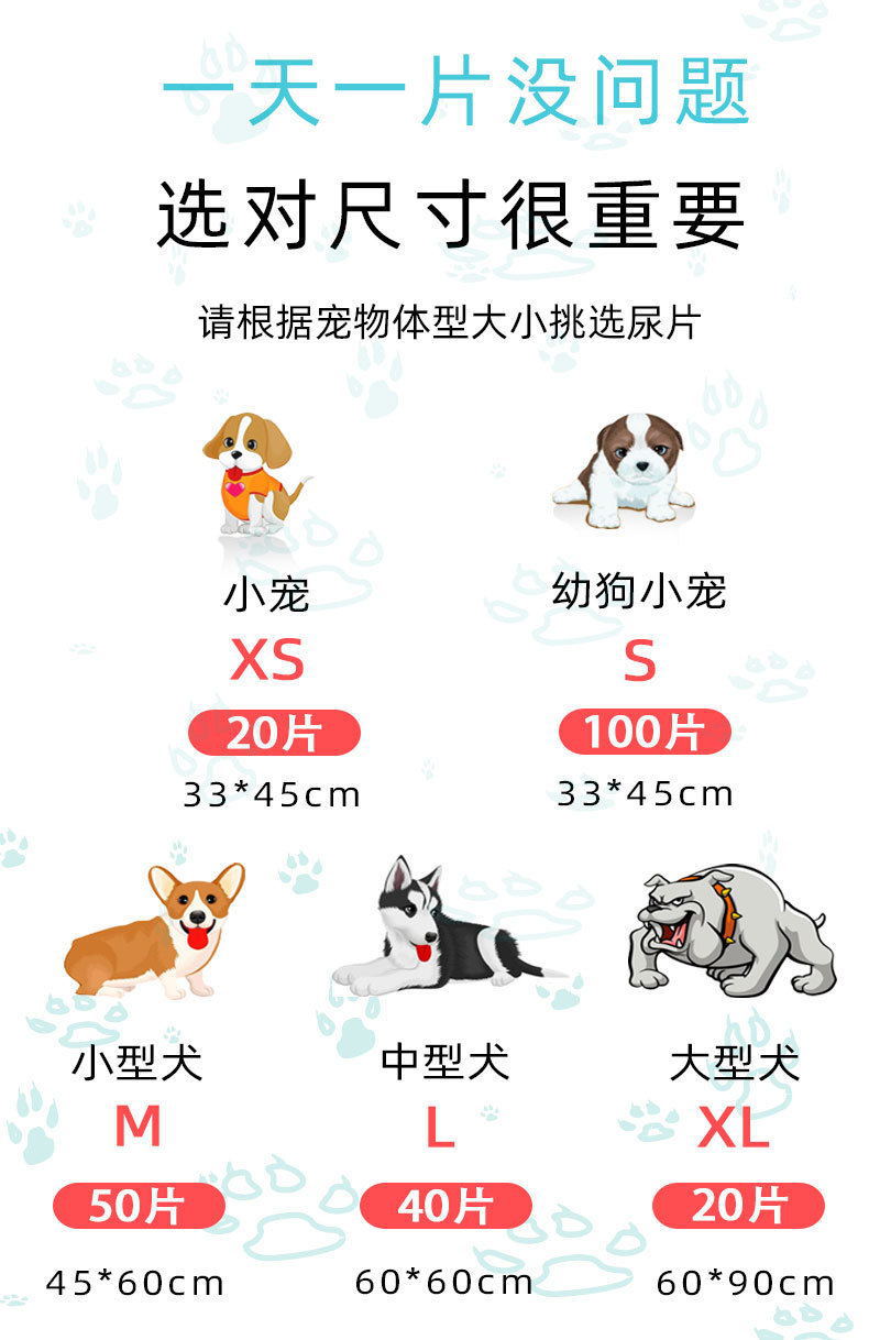 宠物垫1563268508004_看图王