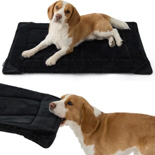 �����������|�ӷ�˺ҧ�������\�|���C�|������Ʒ�����̌������|