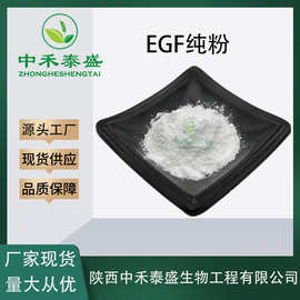 EGF纯粉 现货供应 EGF生长因子 量大从优 欢迎咨询 1克/支 寡肽-1