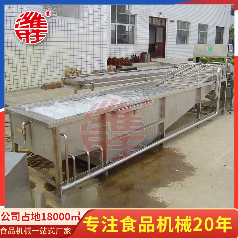 工业气泡清洗机 全自动喷淋式蔬菜清洗机 商用水果汽泡清洗机