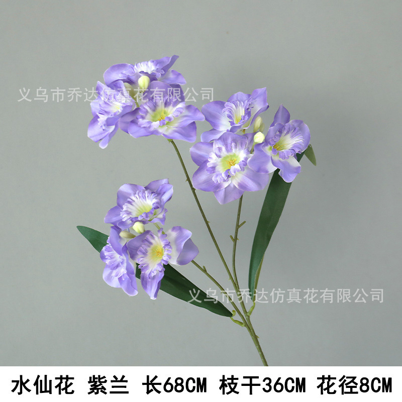 새로운 수선화