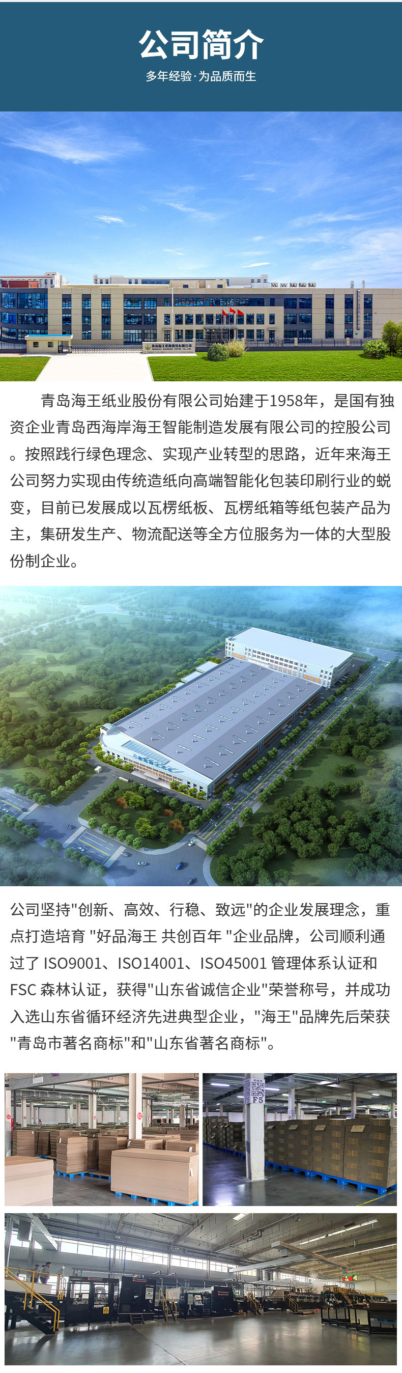 精品信息模板_09