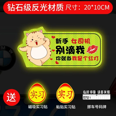 the Road Female Driver Magnetic | Body sticker - strong-magnetic-reflective-dancing-fat-cat-dont-drop-me-gift