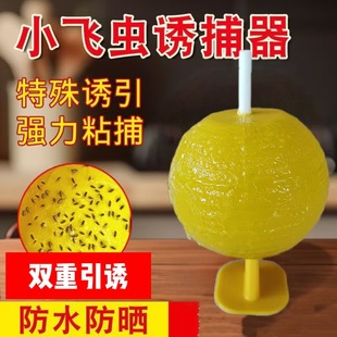 ��ω�����҃ȼ���ճ�x���ω�T����ץ�x�������nωС�w�xһ�߹�