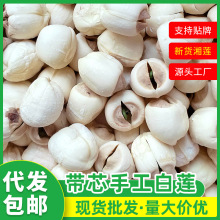 湘通手工白莲500g手工带芯白莲新货有心莲子湘莲干货现货支持代发