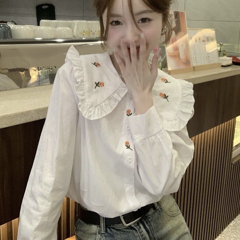 French Sweet Embroidered Doll Collar Long-Sleeved Shirt Women's Spring and Autumn New Design Niche College Style Top Trend